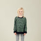 Kinder Sweater Bio Baumwolle Grün mit Zebramuster; Urheber: Mini & Eve