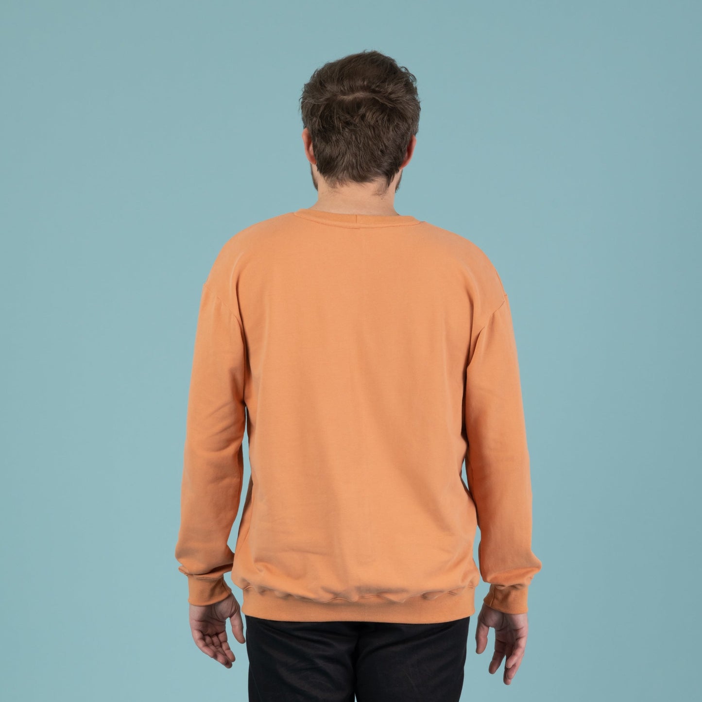 Sweater für Herren, Unisex, Rückenansicht, Papaya, Orange, Urheber: Mini & Eve