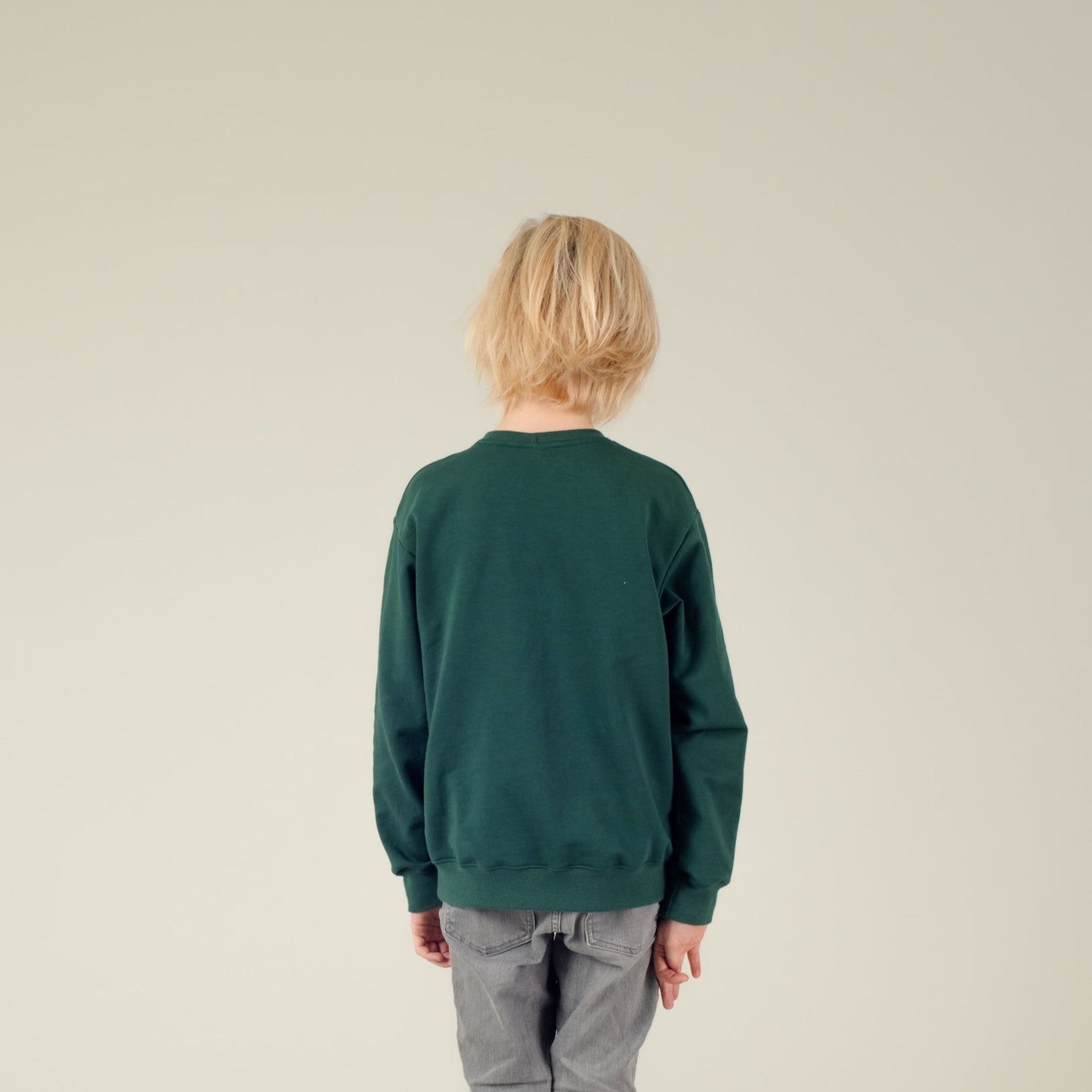 Pulli Baumwoll-Sweater Grün, Junge, Rückenansicht, Urheber: Mini & Eve