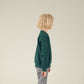 Pulli Baumwoll-Sweater Grün, Junge, Seitenansicht rechts, Urheber: Mini & Eve
